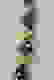 item-63201017=2