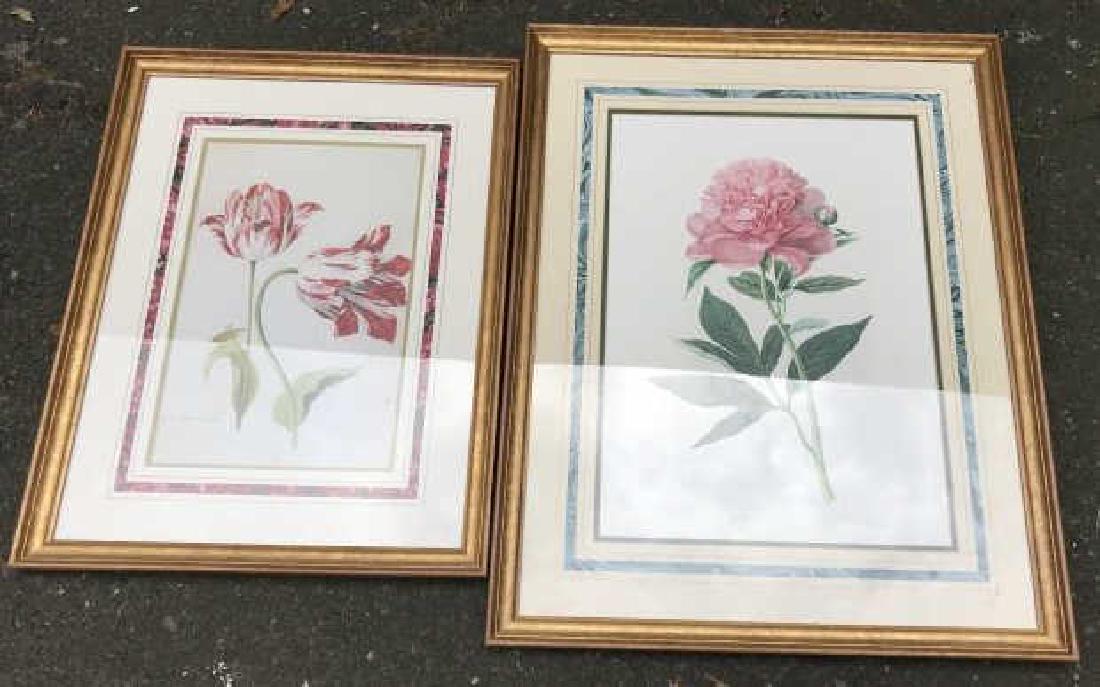 Two Vintage Professionally Framed Botanical Prints (1 of 2)