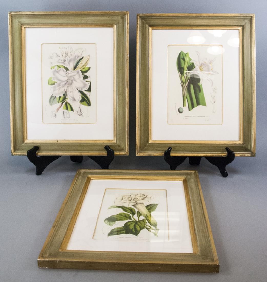 Three Framed Vintage Botanical Prints (1 of 7)