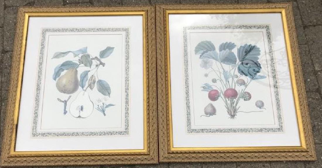 Pair of Framed Botanical & Fruit Prints (1 of 2)