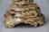 Large French Rococo Style Gilt Bronze Candelabras - 6