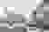 item-64302652=2