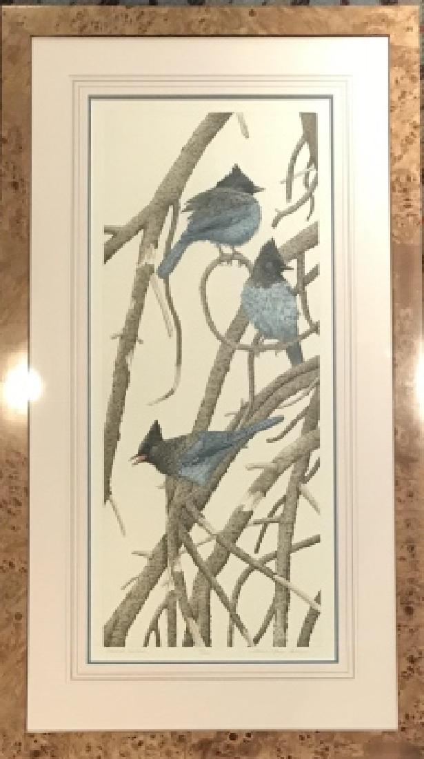 Custom Burl Wood Frame Ornithological / Bird Print (1 of 4)
