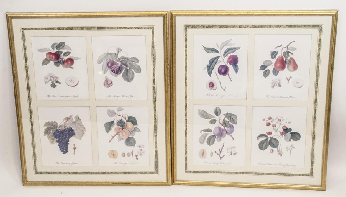 Pair Framed Prints of Botanical Engravings (1 of 6)