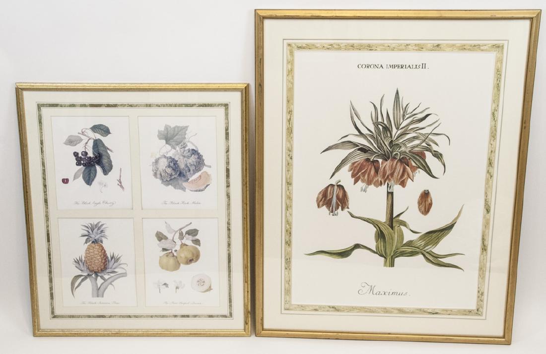 Pair Framed & Matted Botanical Prints (1 of 5)