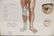 Vtg Chinese Acupuncture / Anatomical Chart Framed - 6