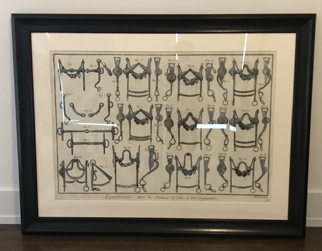 Equestrian Bridle / Equipment Print Framed (1 of 4)