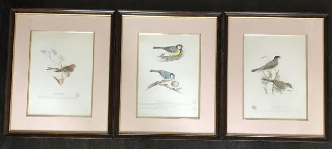 Set of Professionally Framed Ornithological Prints (1 of 6)