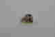 item-67029209=4