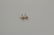 Pair Estate 14k Yellow Gold Diamond Stud Earrings - 3