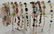 Vintage Costume Jewelry Pieces & Parts Lot