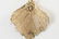 Gold Plated Leaf Necklace Pendant w Vermeil Chain - 4