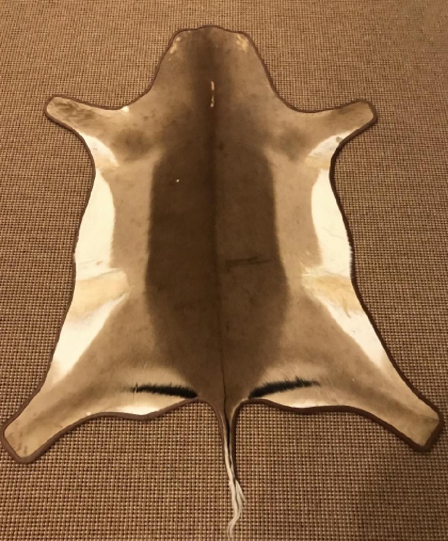 African Safari Gazelle Skin / Fur Carpet Throw Rug (1 of 3)