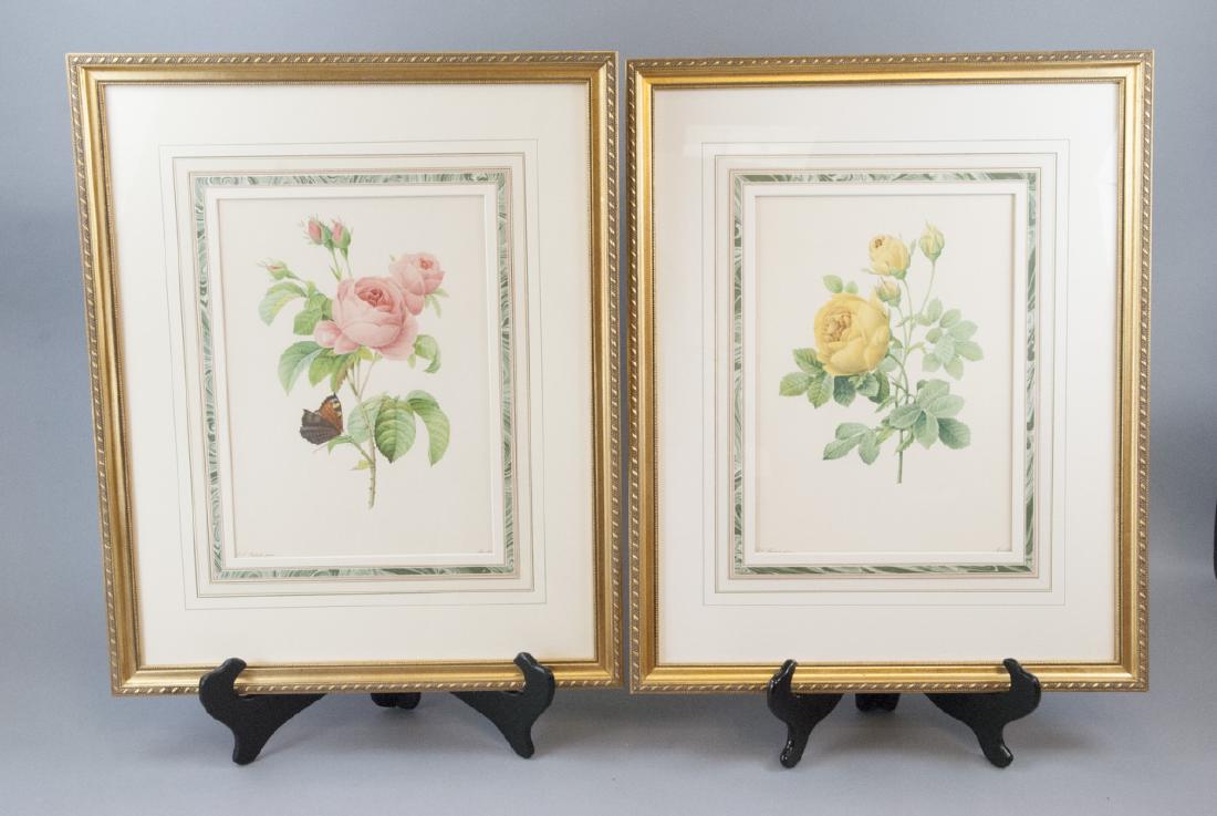 Pair Pierre-Joseph Redouté Botanical Rose Prints (1 of 9)