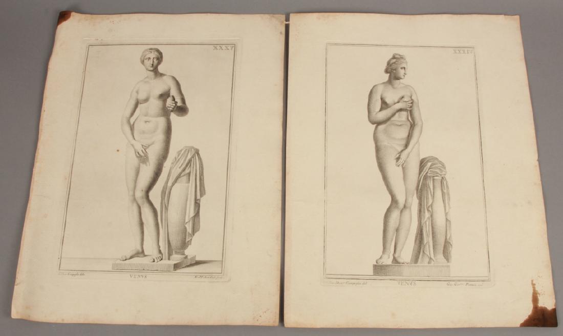 Pair 18th C Nude Engravings of the Goddess Venus: Pair 18th C Nude Engravings of the Goddess Venus. Each measures 18 x 13.25 inches. Marked Campiglia and Corfi for the printer and artist.