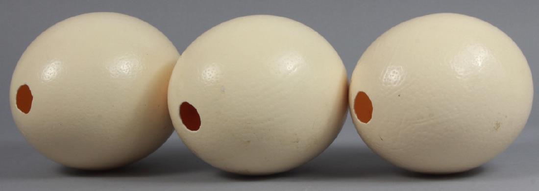 Group of Three Natural Specimen Ostrich Eggs (1 of 4)