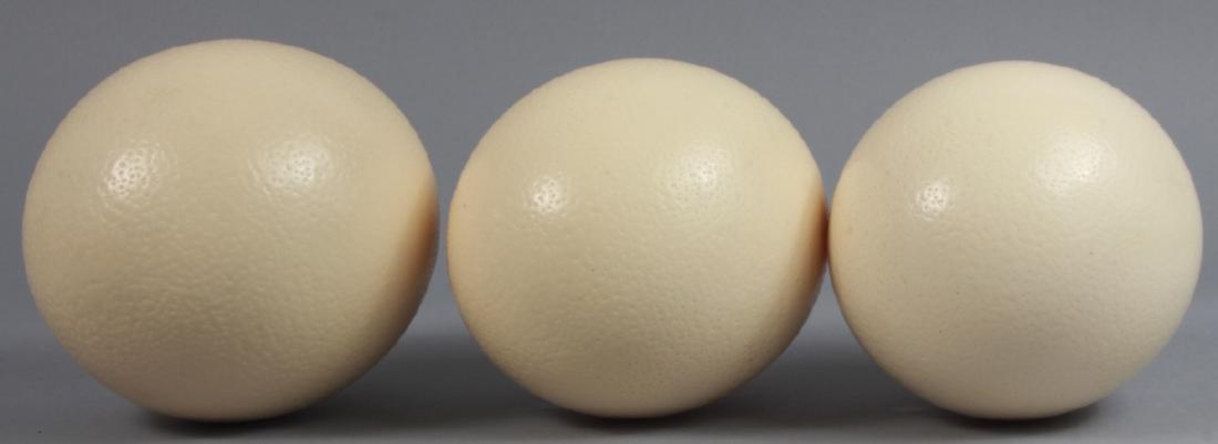 Group of Three Natural Specimen Ostrich Eggs (1 of 5)