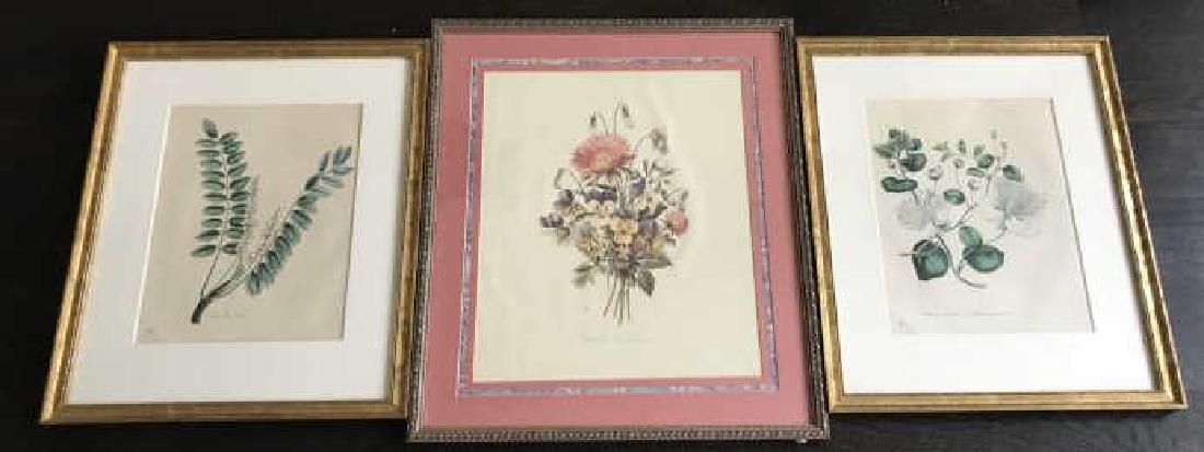 Group Three Professionally Framed Botanical Prints (1 of 6)