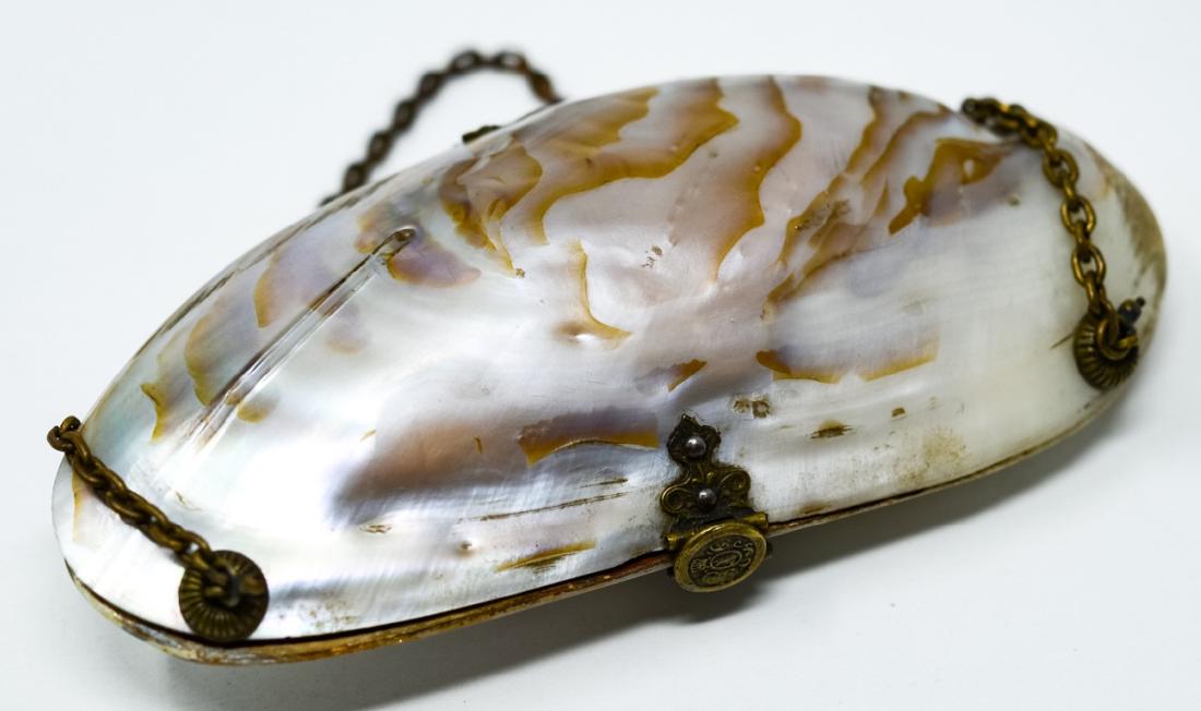 Antique French Mother of Pearl Shell Purse (1 of 5)