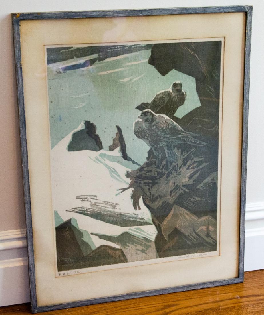 Hans Alexander Mueller Framed Print of a Falcon (1 of 7)