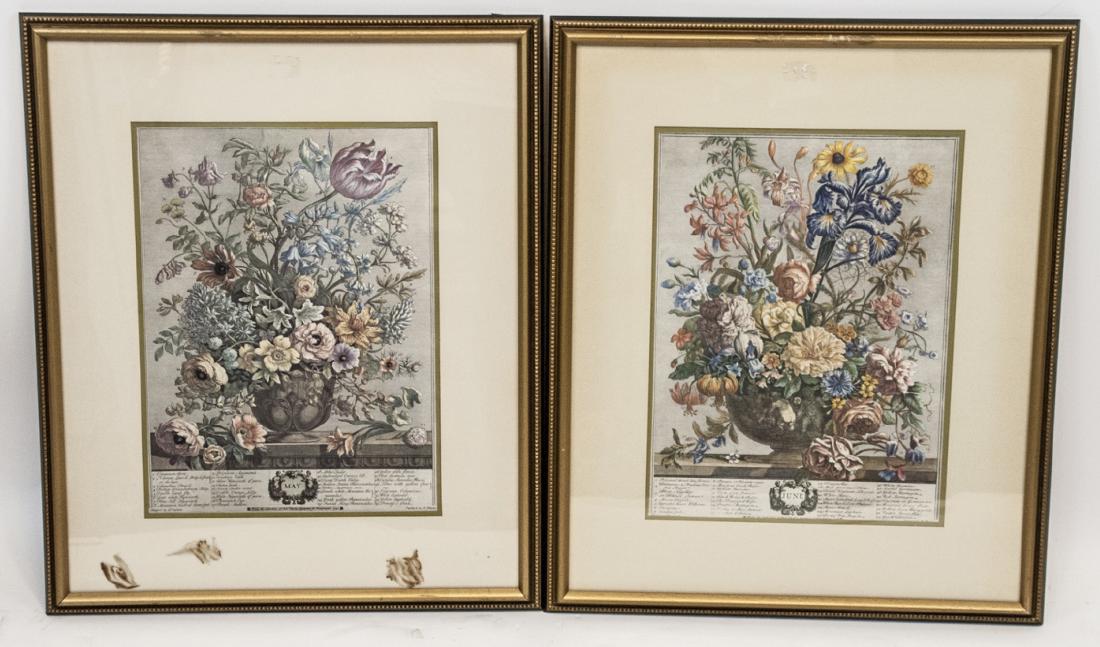 Pair of May / June Botantical Framed Prints (1 of 5)