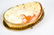 Antique 14K Gold Natural Shell Cameo Pendant - 2