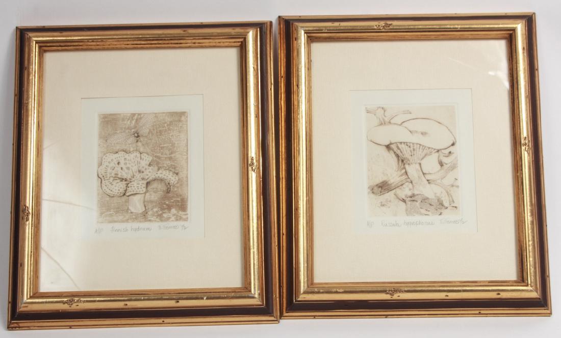 2 Nancy Nemec Signed Natural Specimen Engravings (1 of 7)