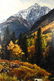 Ray Swanson "Autumn's Palette" Oil Painting - 4