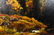 Ray Swanson "Autumn's Palette" Oil Painting - 6