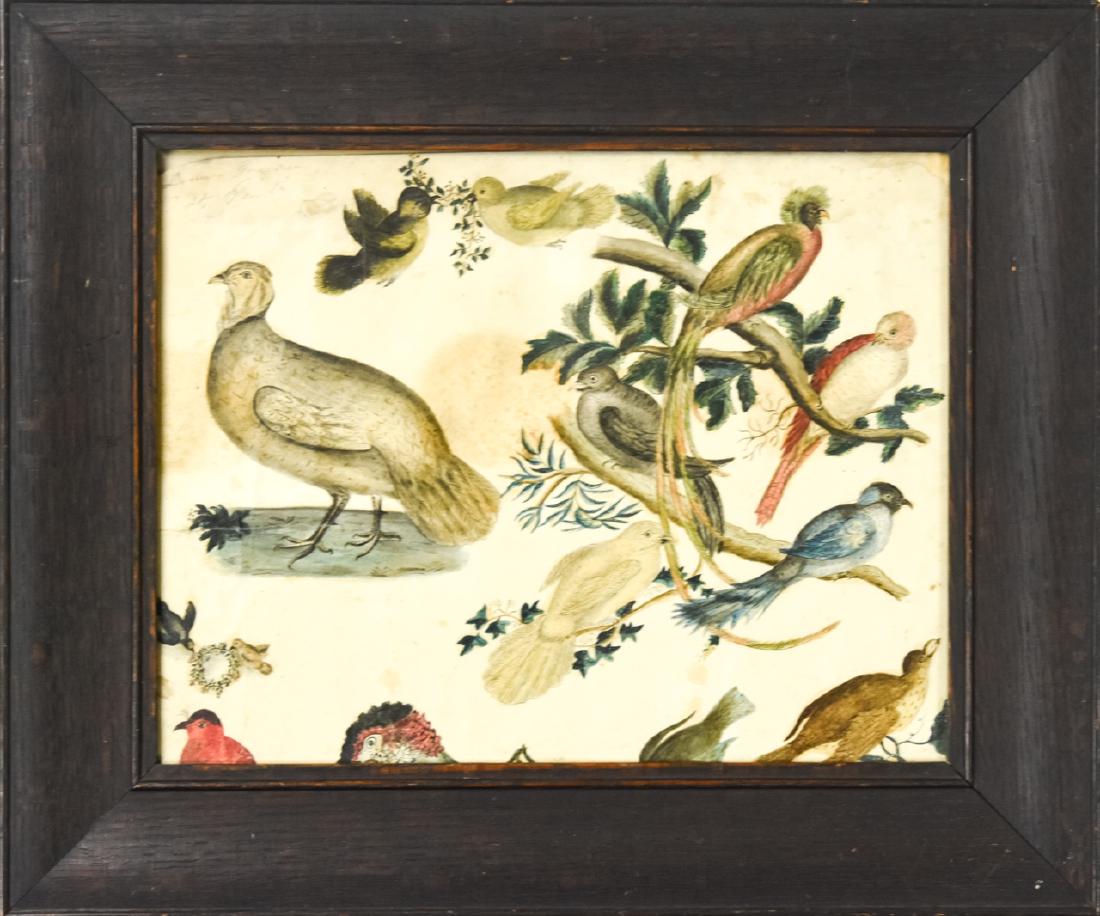 Antique 1840 Ornithological Bird Watercolor Study (1 of 10)