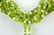 Contemporary Multi Strand Peridot Bead Necklace - 4