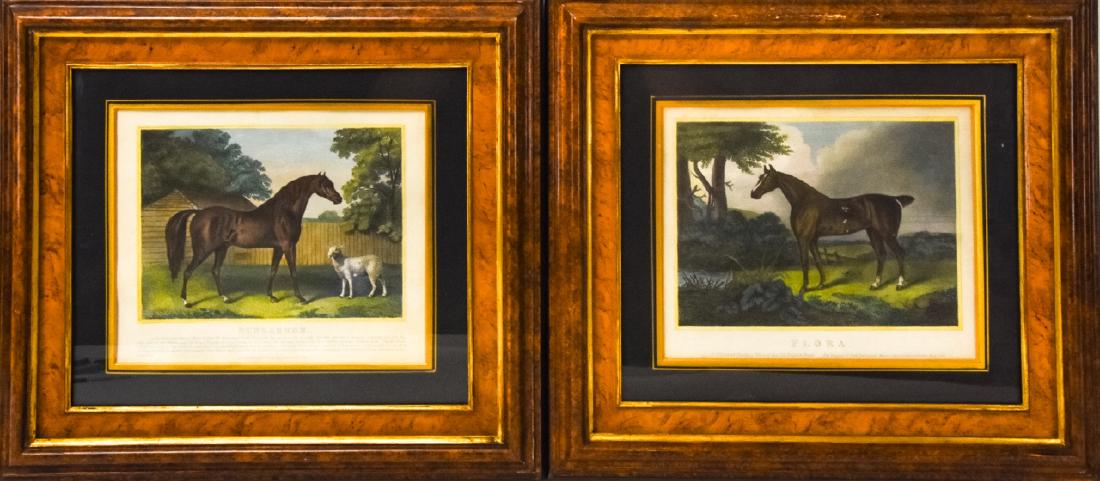 2 Antique Hand Colored Engravings Hunting Horses: Set Antique Hand Colored Engravings Famous English Hunting Horses. Pair of framed antique engravings by Thomas Kelly from 1820. One features Flora, the other features Dungannon. 14 inches x 15 inches.