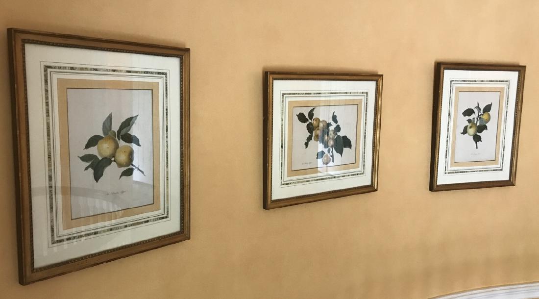 Three Antique Custom Framed Prints of Fruit (1 of 5)