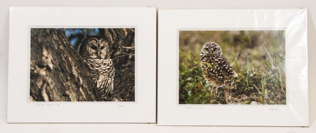 Pair Signed & Numbered Owl Photos by Randy Napier (1 of 3)