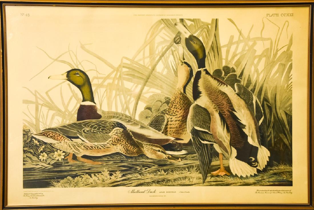 After John Audubon Mallard Duck Print (1 of 9)