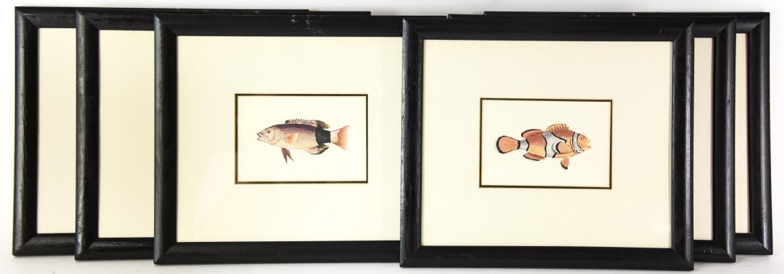 6 Framed Fish Engraving Prints (1 of 7)