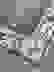 item-72482035=2