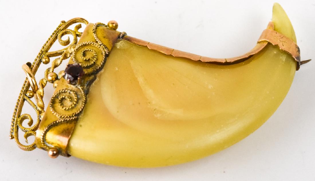 Antique 19th C Gold Filled Claw Pendant / Brooch (1 of 5)
