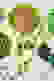 item-72919160=6