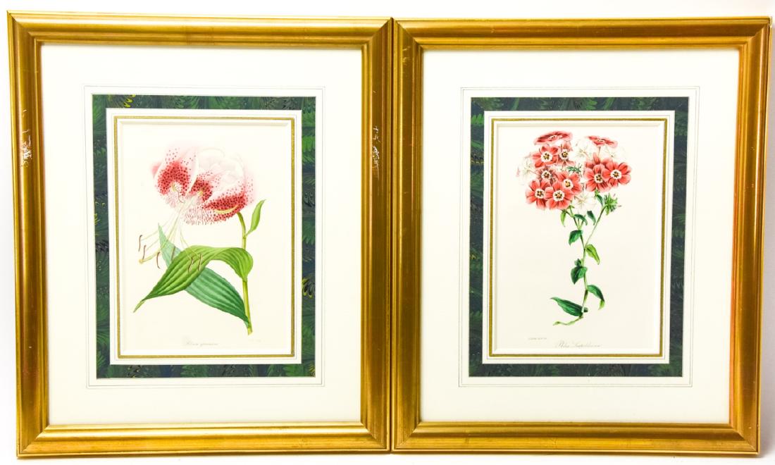 Pair Antique 19th C Botanicals by J Paxton (1 of 9)