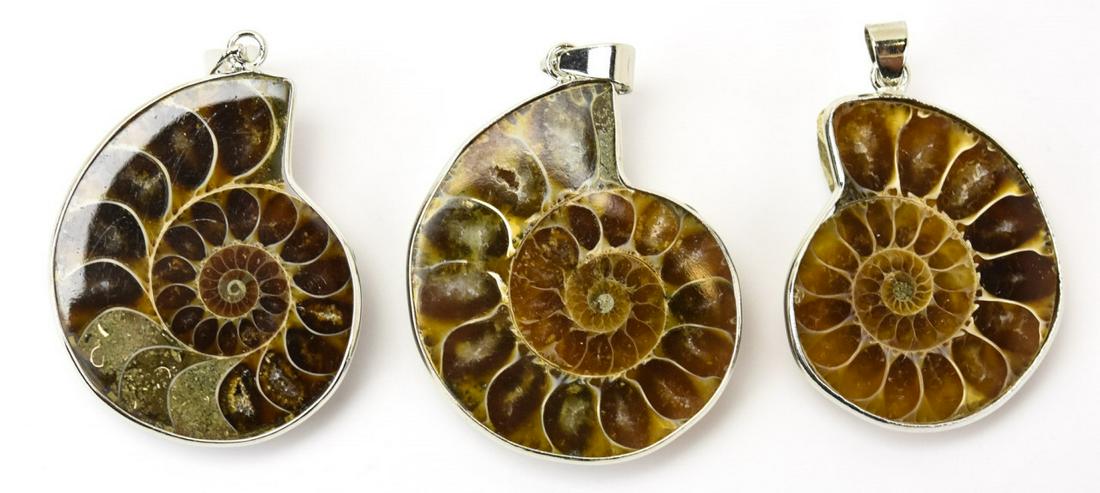 Three Necklace Pendants w Ammonite Fossils (1 of 7)
