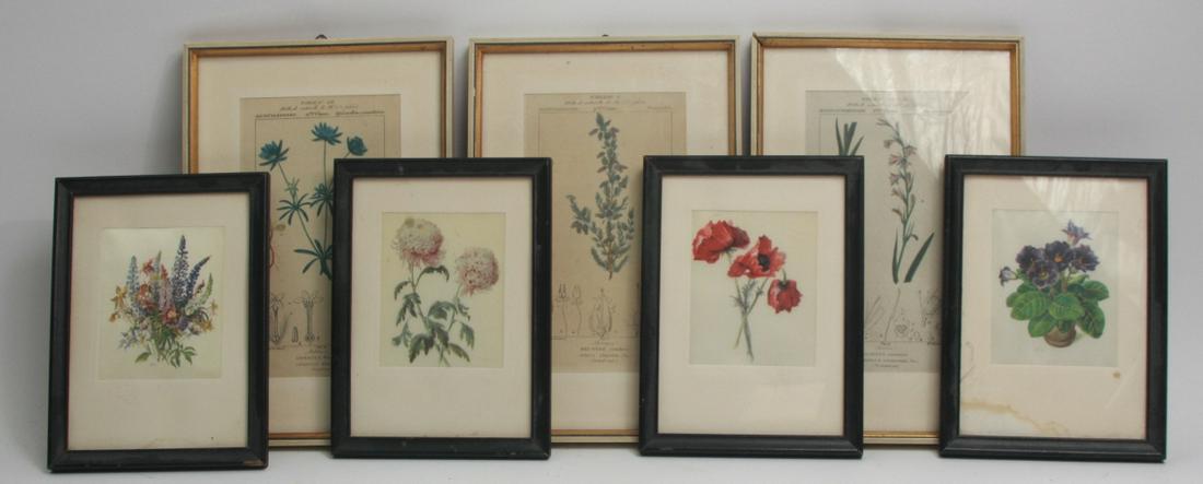 7 Vintage Botanicals Engravings and Silk (1 of 5)