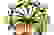 item-74404926=5