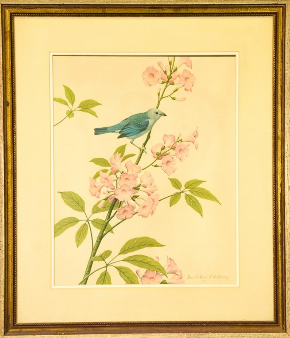 Vintage Don Richard Eckelberry Tropical Bird Print (1 of 11)
