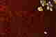 item-74673429=2