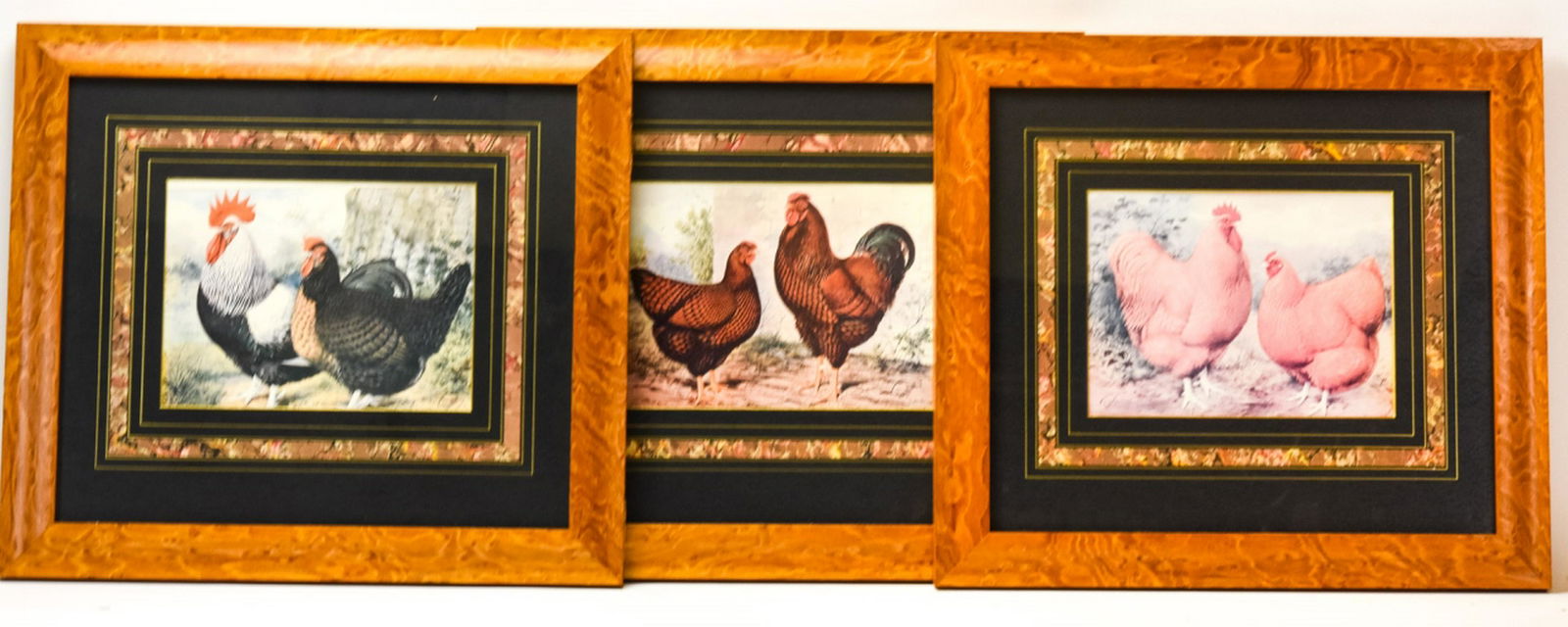 3 Framed Ludlow Rooster Prints Marbleized, Burled (1 of 7)