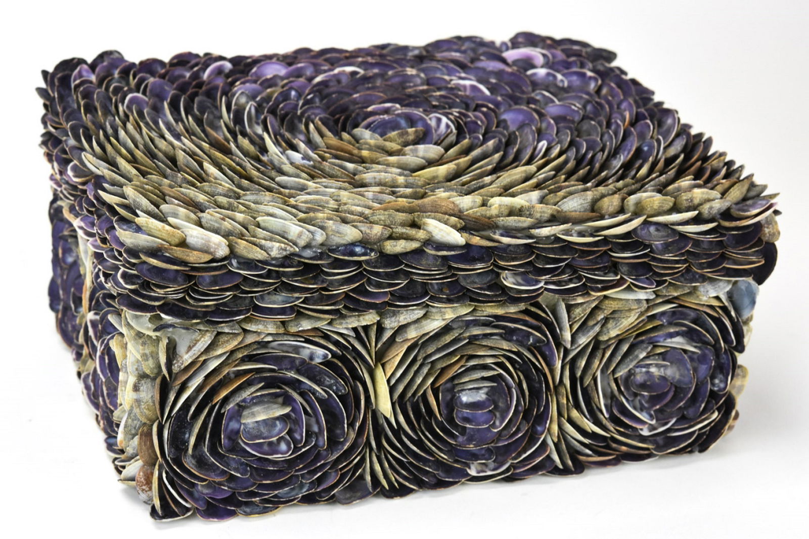 Cockle Covered Shell Box (1 of 7)