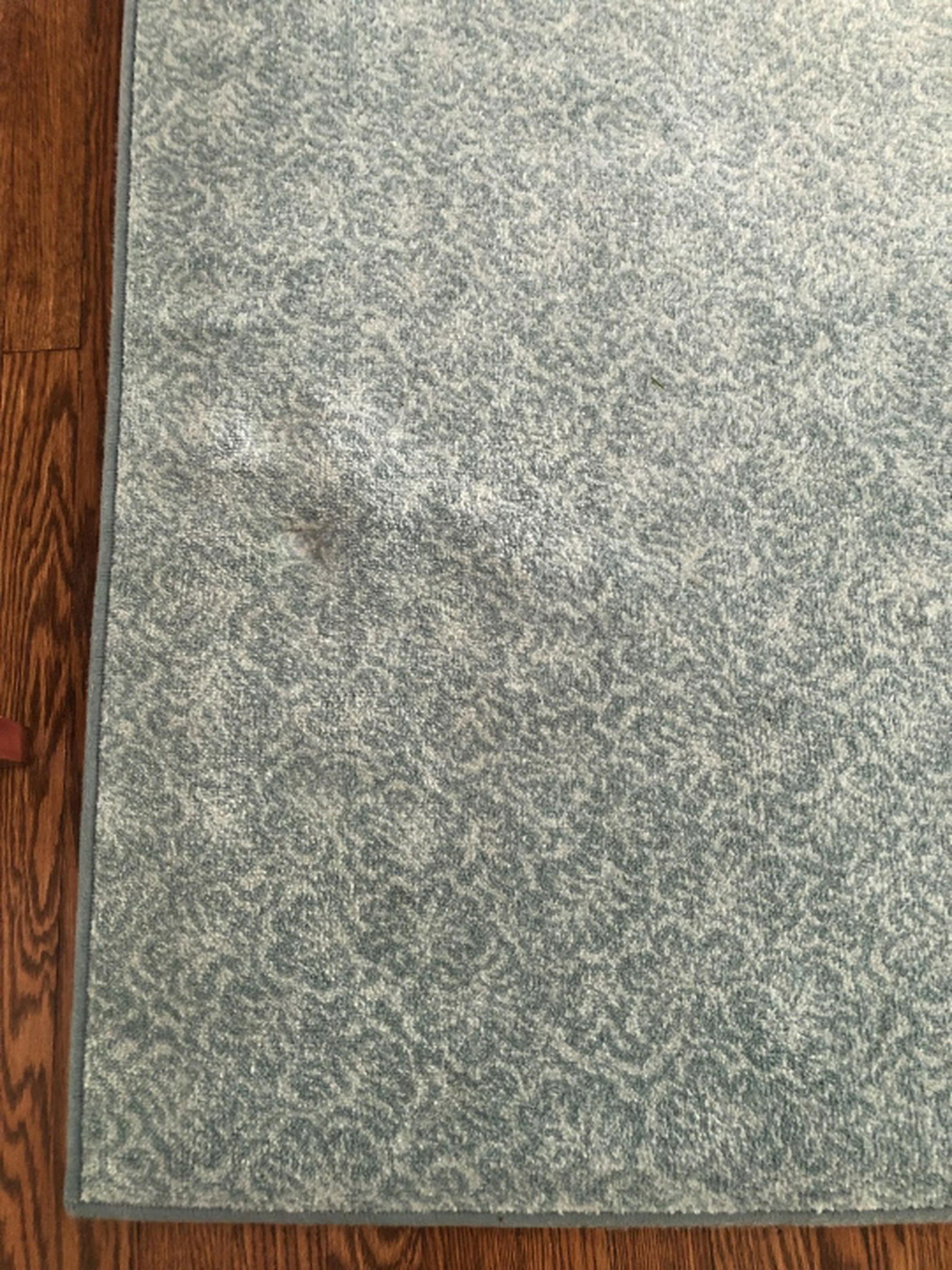 Contemporary  Light Blue + Ivory Area Carpet (1 of 4)