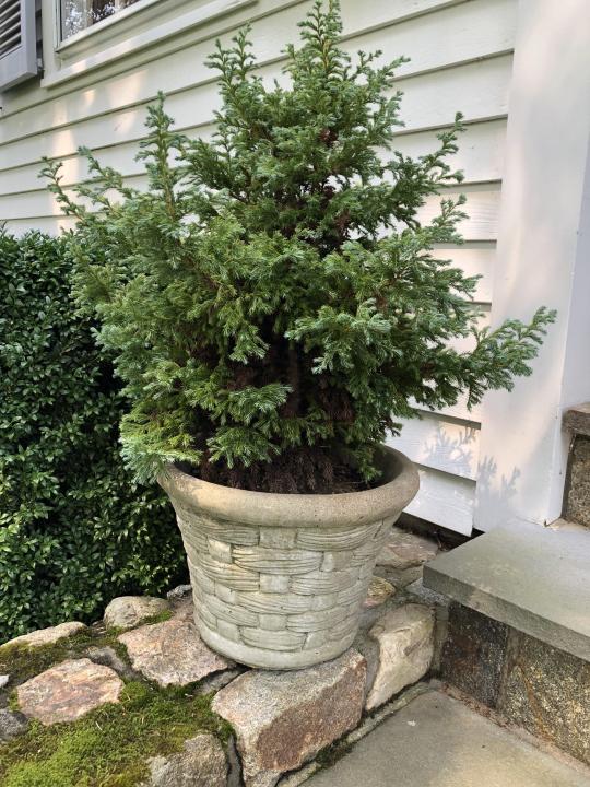 Cast Stone Basket Weave Planter. (1 of 3)