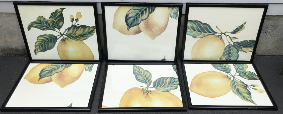 Set of 6 Framed Prints of Lemons (1 of 2)
